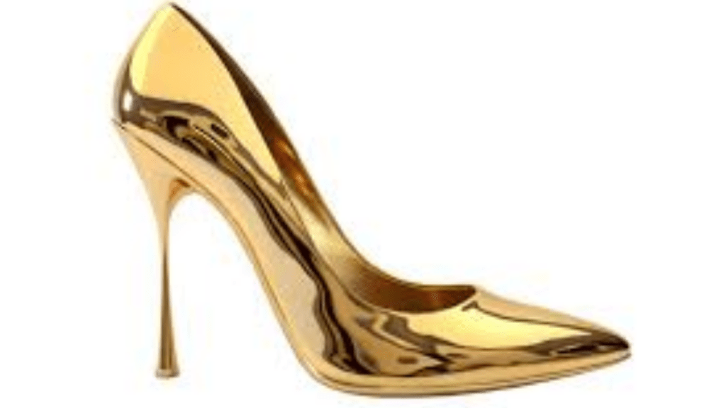 shoes in raipur